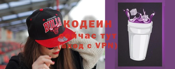метадон Инта