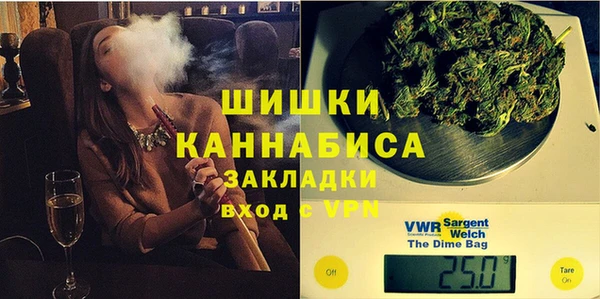 сатива Зеленокумск
