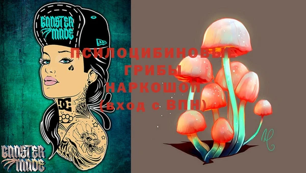 герыч Инсар