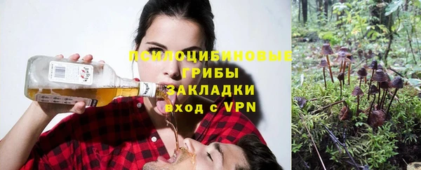 сатива Зеленокумск