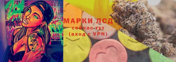 сатива Зеленокумск