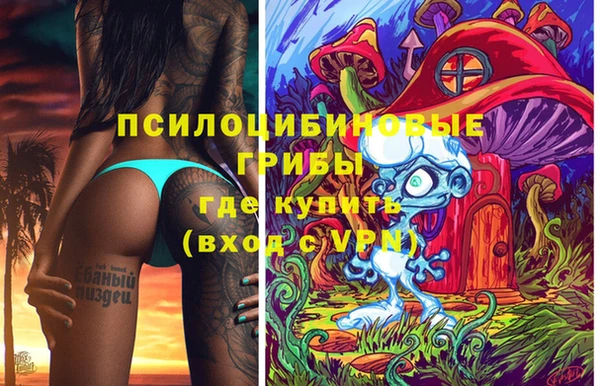 сатива Зеленокумск